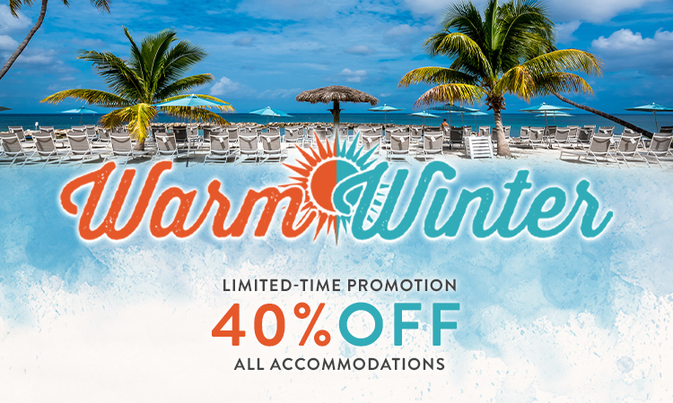warm-winter-special-banner-v2 warm-winter-special-banner-v2